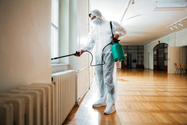 Emergency Pest Control Services in Federal Way, WA